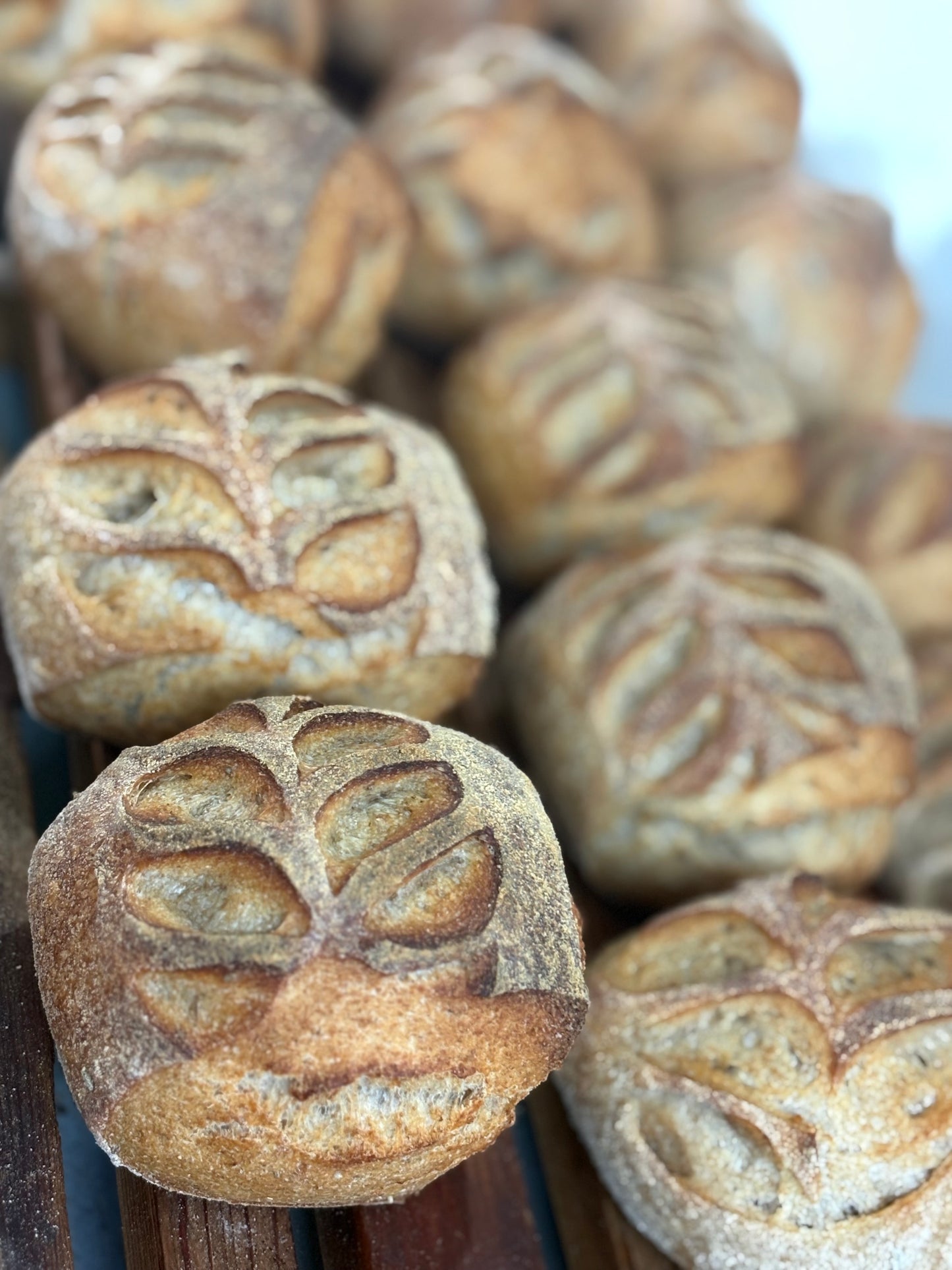 Rustic Sourdough Dinner Rolls - 1/2 dozen