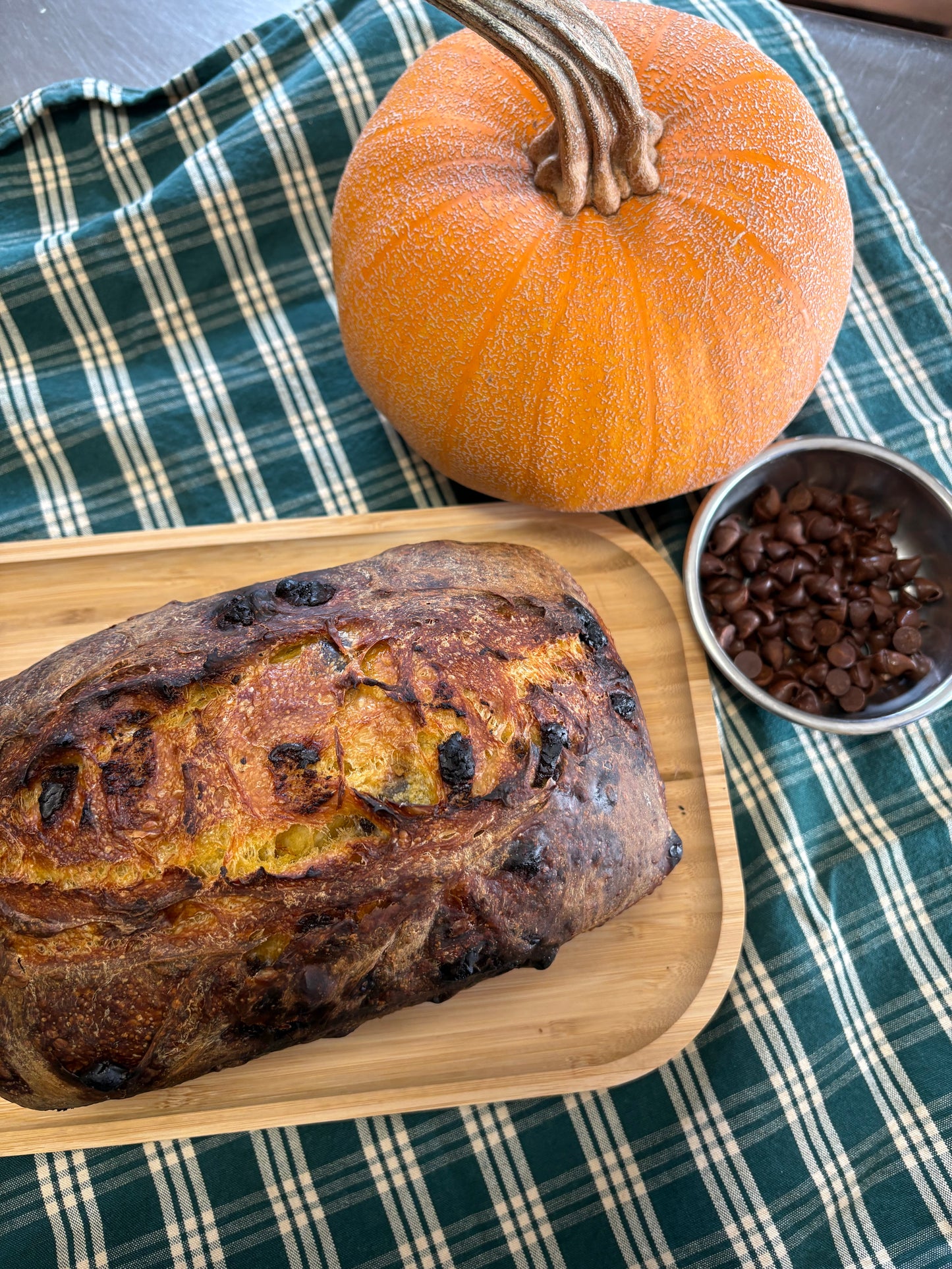 Pumpkin Chocolate Chip Sourdough Loaf
