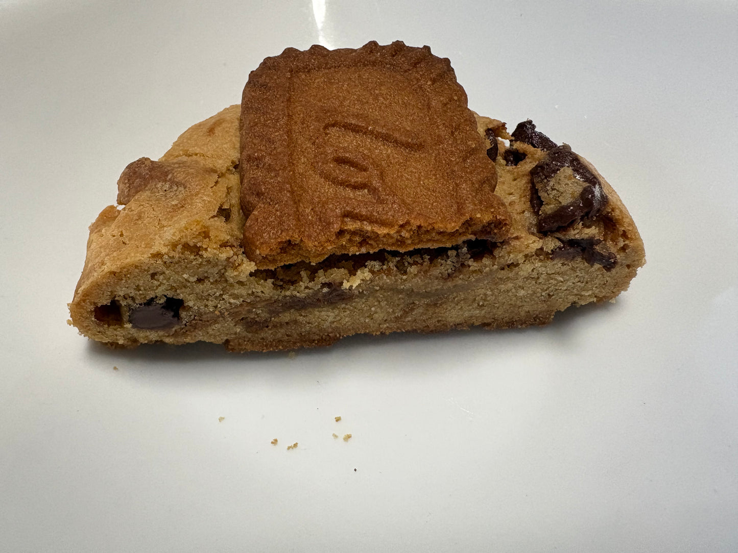 Sourdough Biscoff Cookie Butter Chocolate Chip Cookies