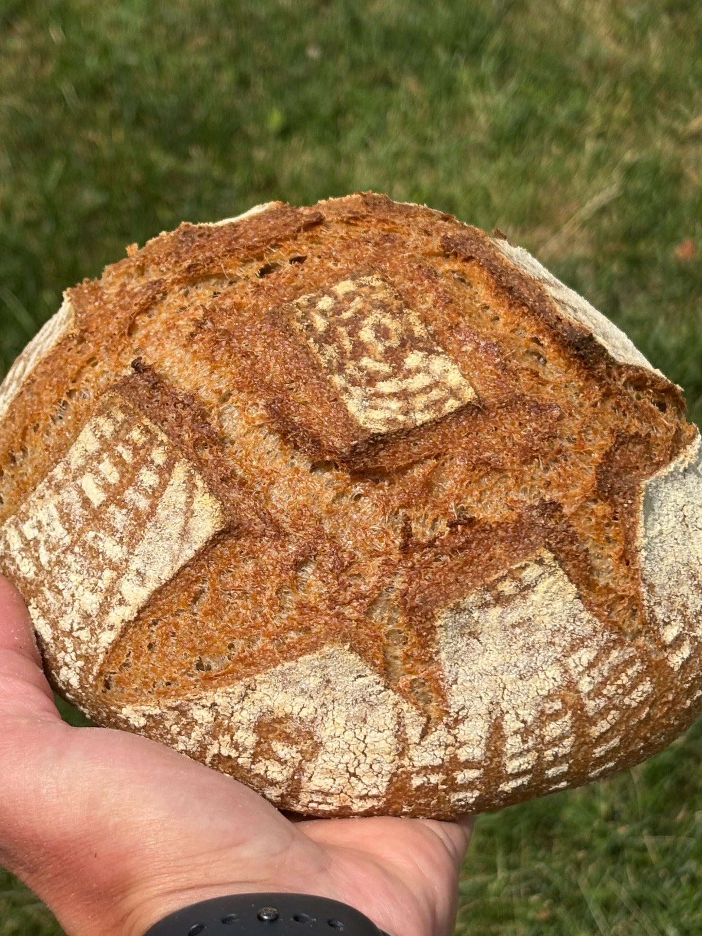 Organic Fresh Milled Marquis Sourdough
