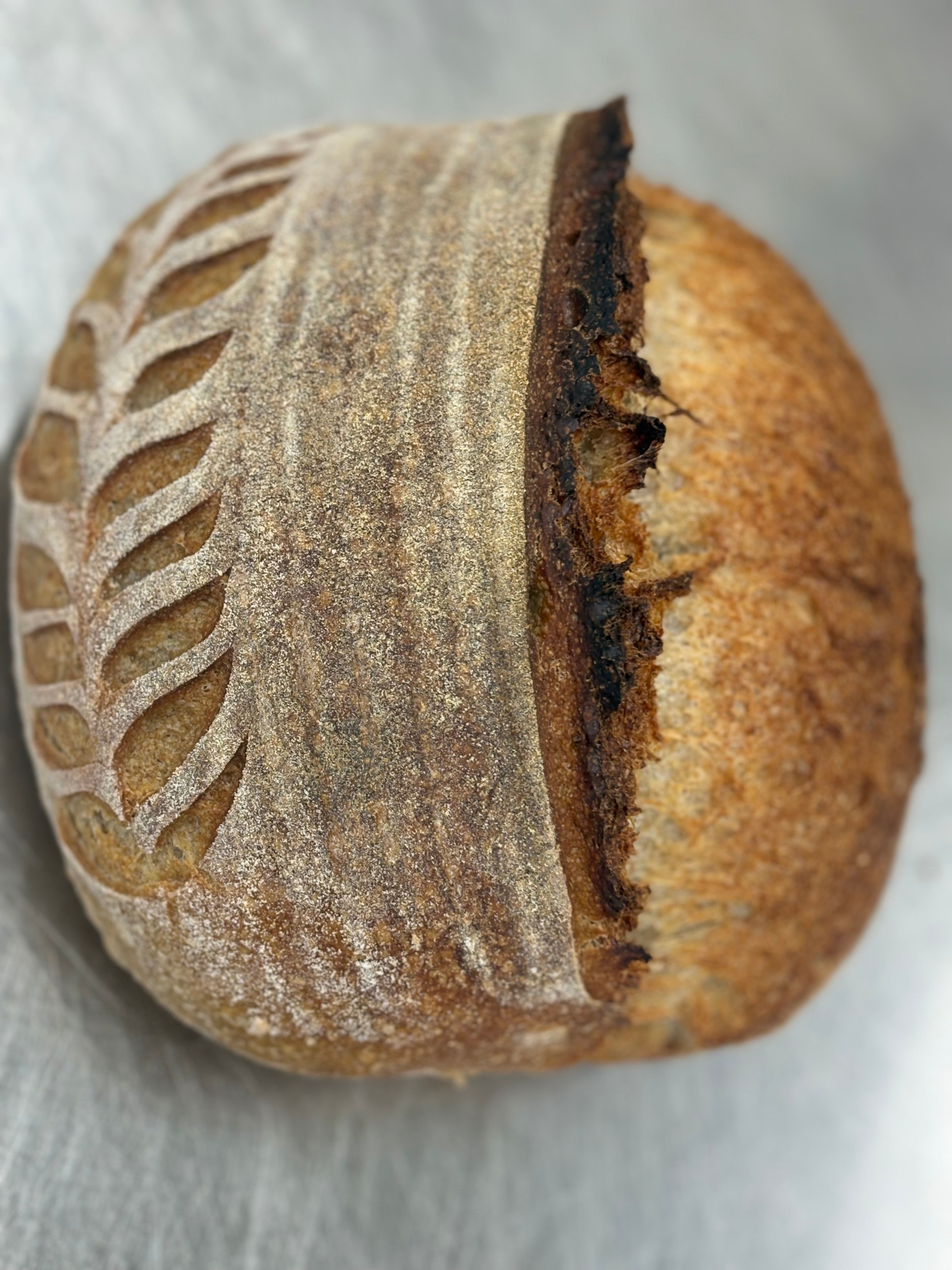 Rye Sourdough – Sunshine Breads & More
