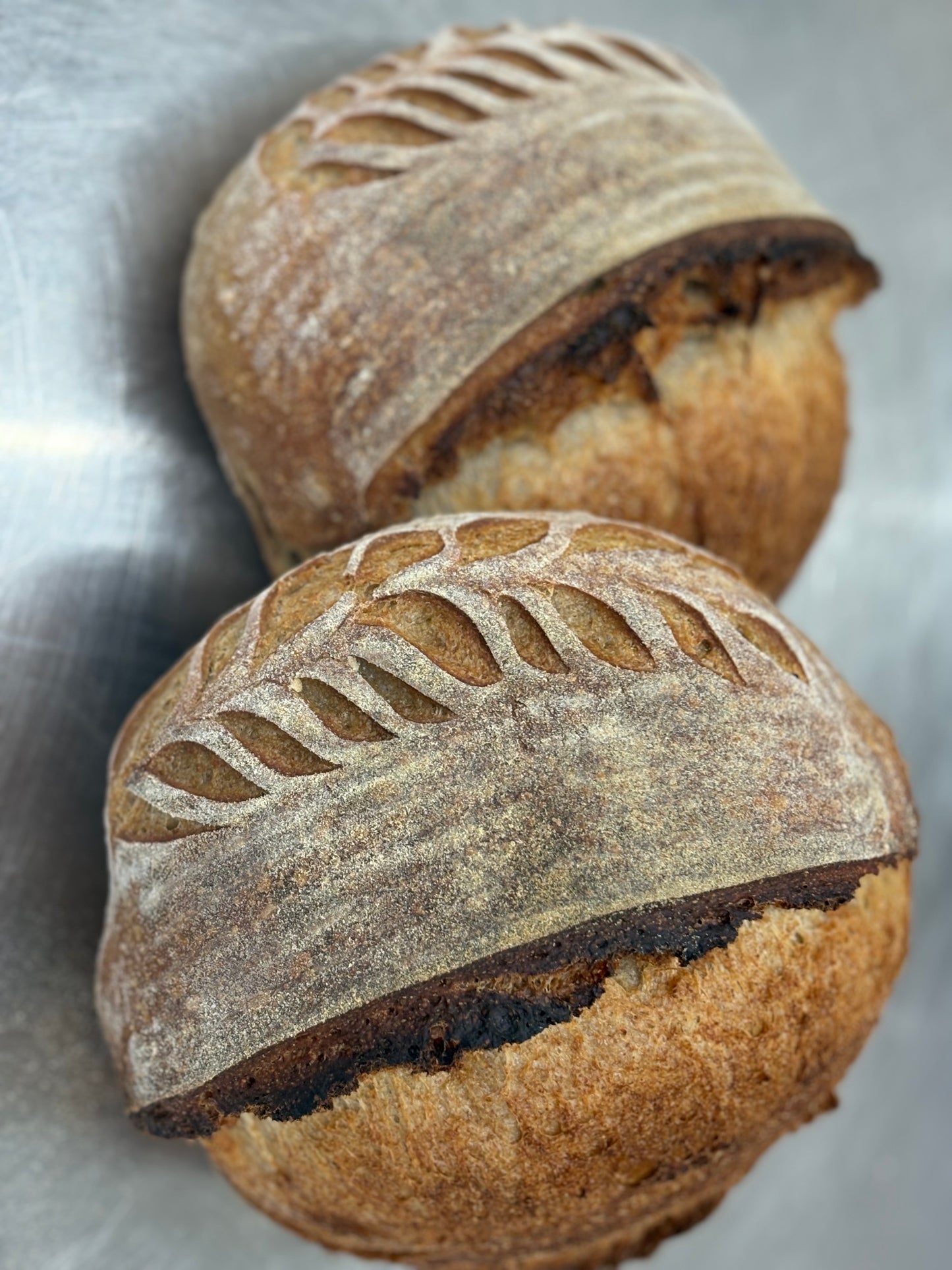 Rye Sourdough