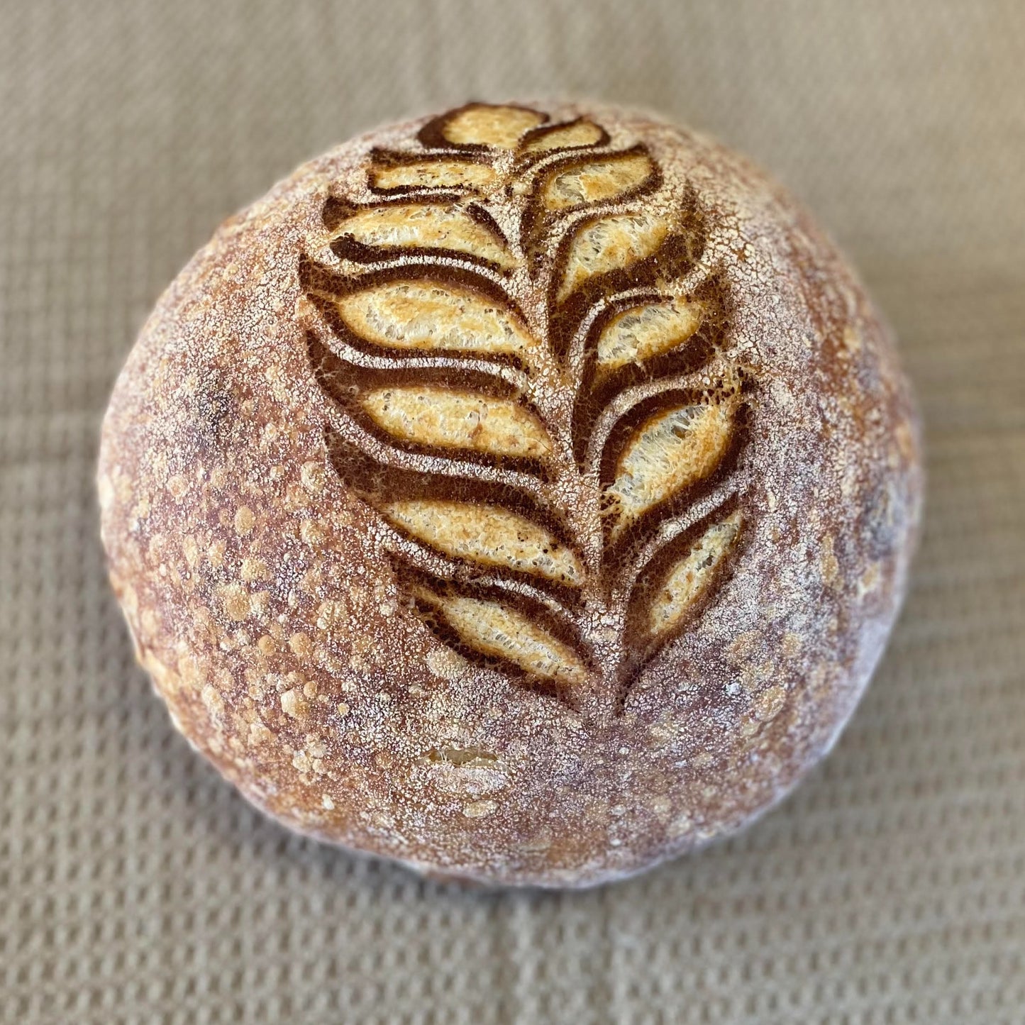 Country White Sourdough Bread