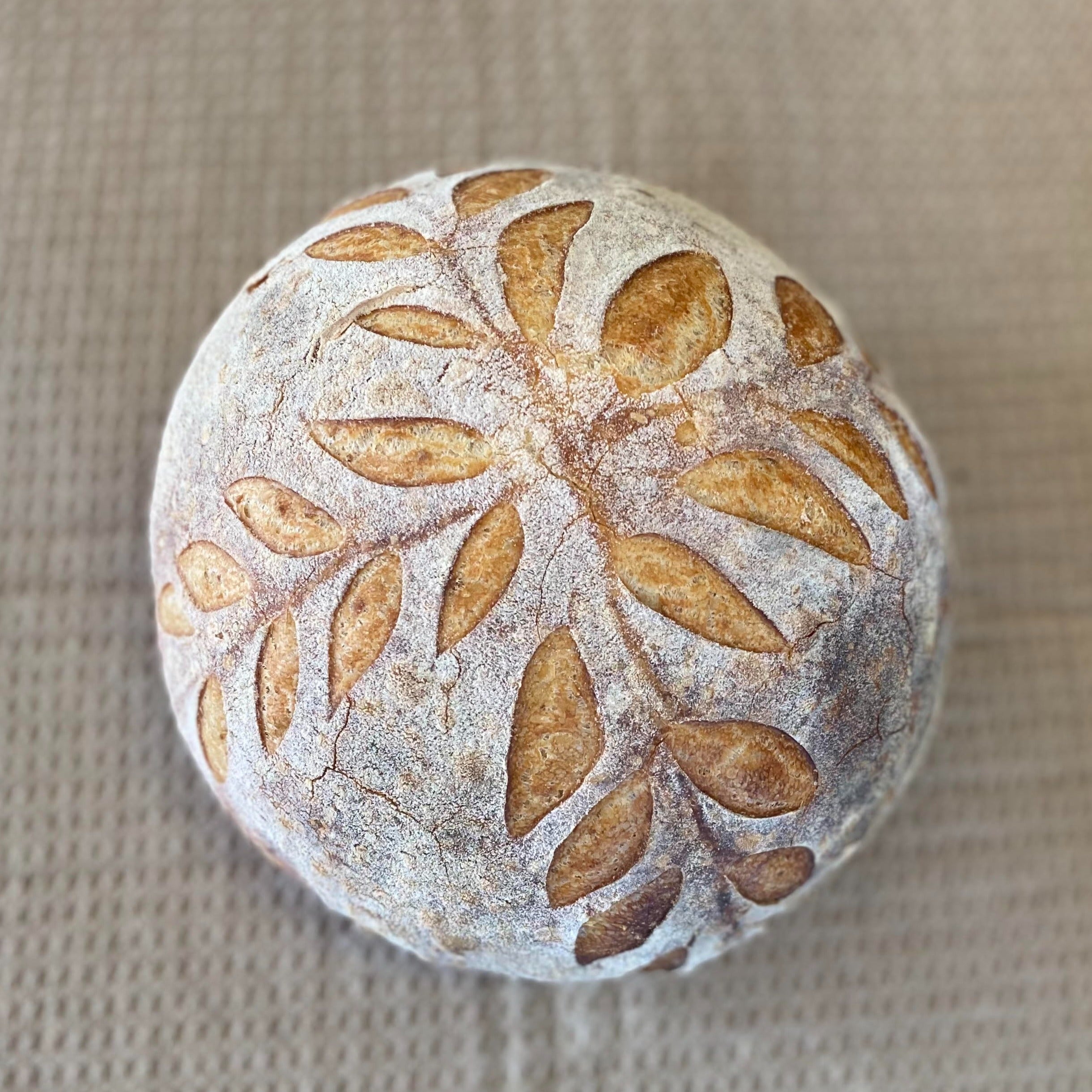 Country White Sourdough Bread – Sunshine Breads & More