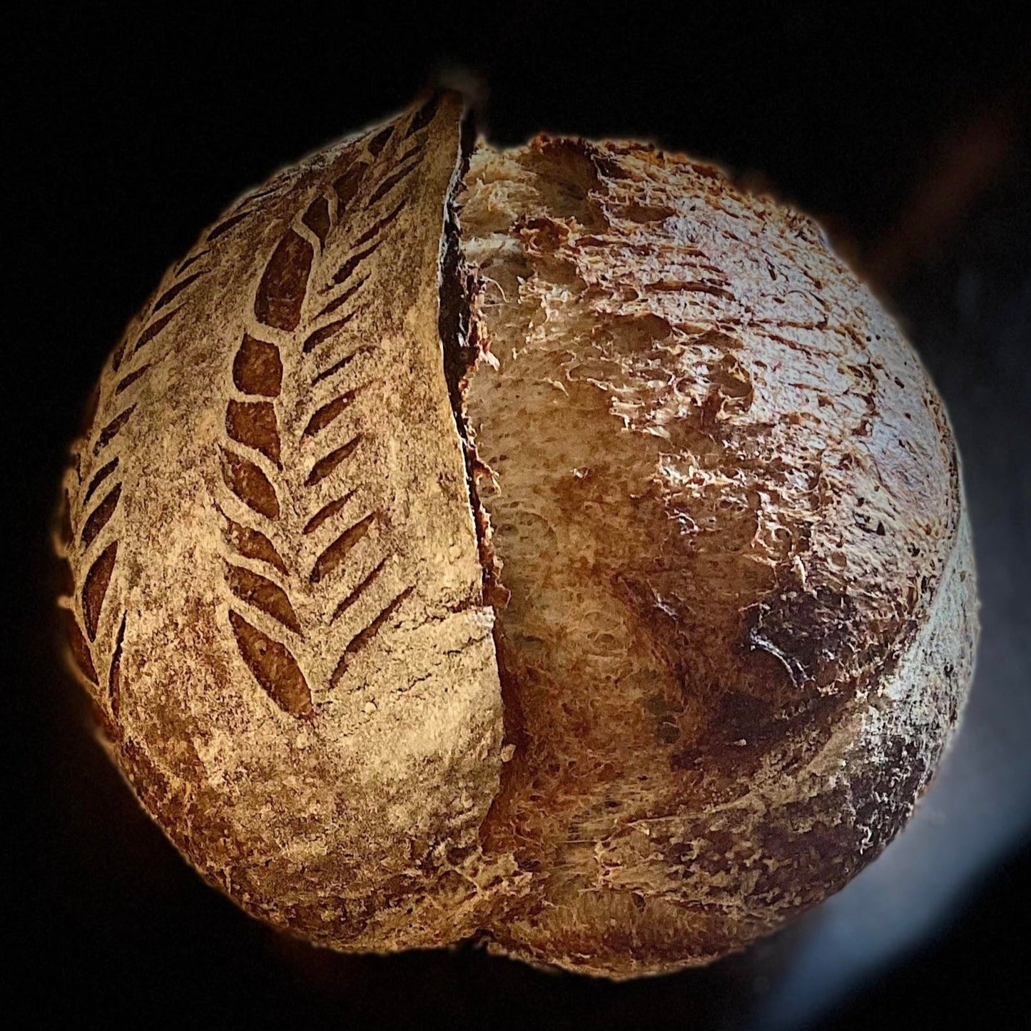 Whole Wheat Sourdough Bread